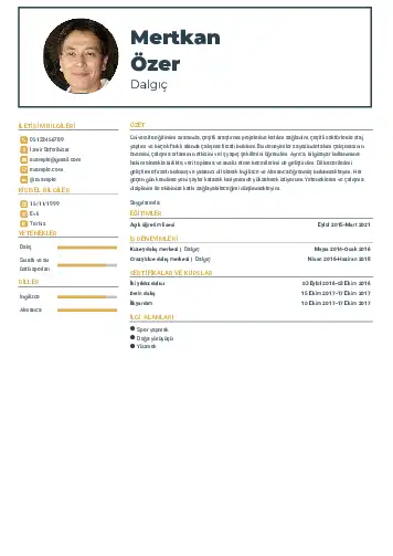 Dalgıç CV Örnekleri cv indir